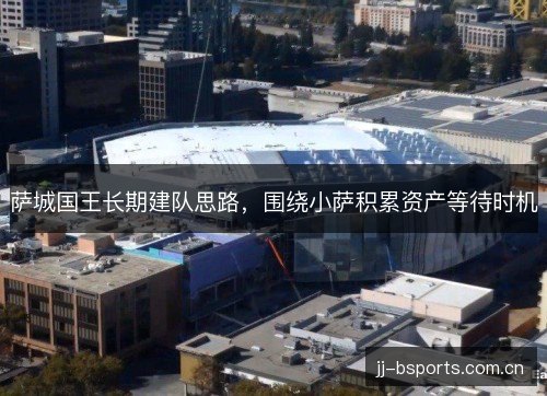 萨城国王长期建队思路，围绕小萨积累资产等待时机